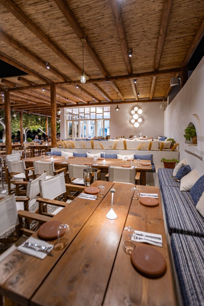 Andros Island: The Green Gem Of The Cyclades – Your Complete Travel Guide For 2026! - Topos 2026 Andros Restaurant - Greek List