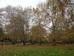 Russell Square in autumn, a short walk from the Greek restaurants in Bloomsbury