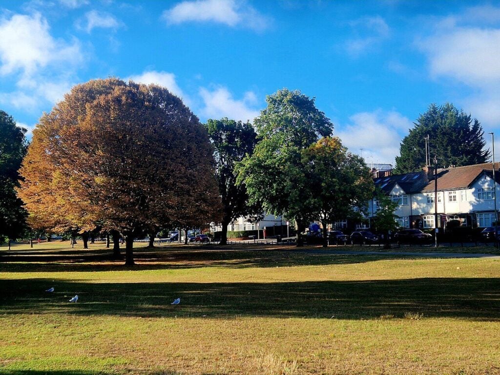 Copper and gold autumn trees at Oak Hill Park in East Barnet, the start of an autumn walk that ends at a Greek cafe in London