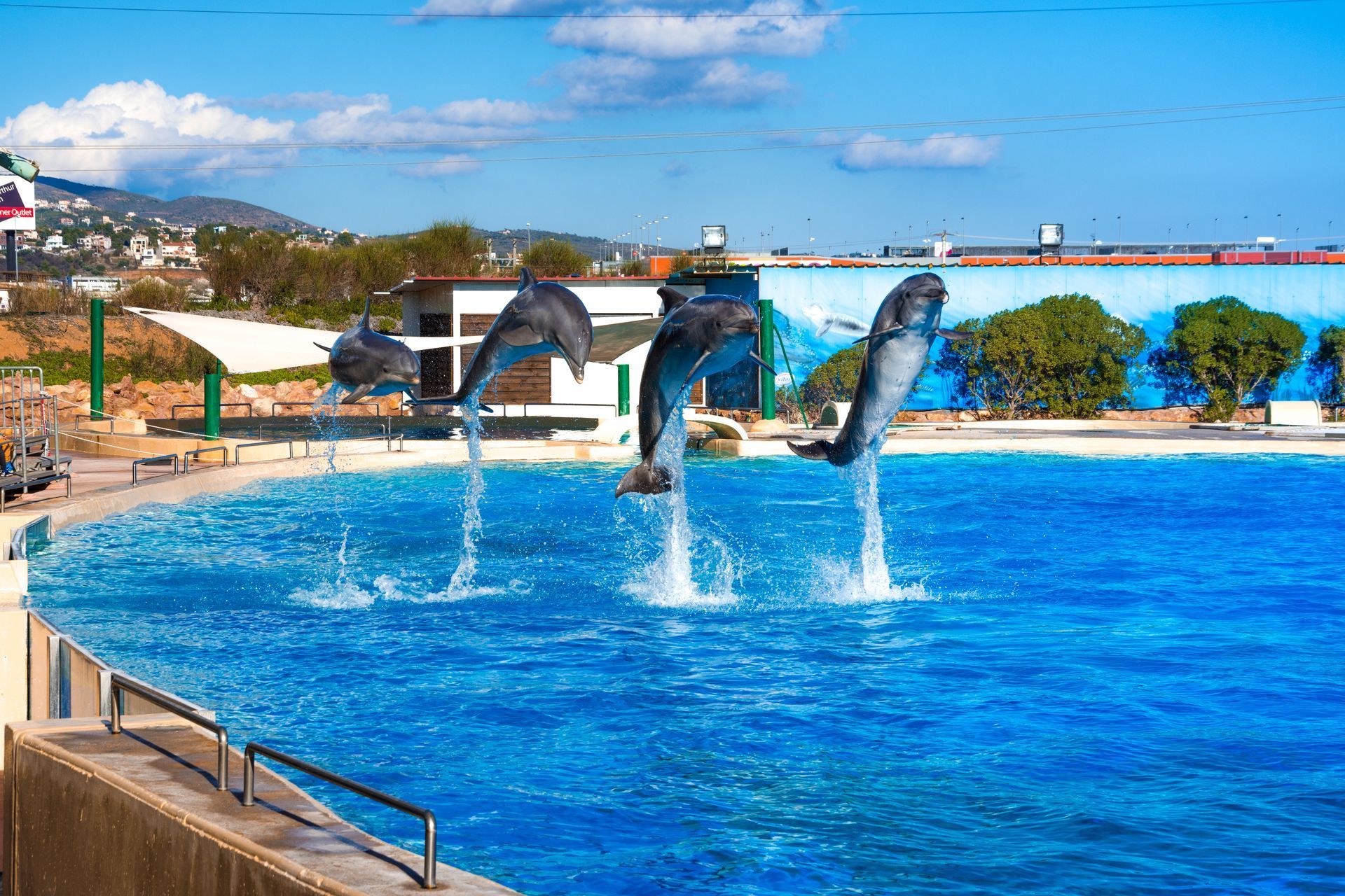 City Of Athens: From Ancient Marvels To Modern Wonders – Your Ultimate Guide To An Epic Hellenic Adventure! - Attica Zoo - Greek List Attica Zoological Park