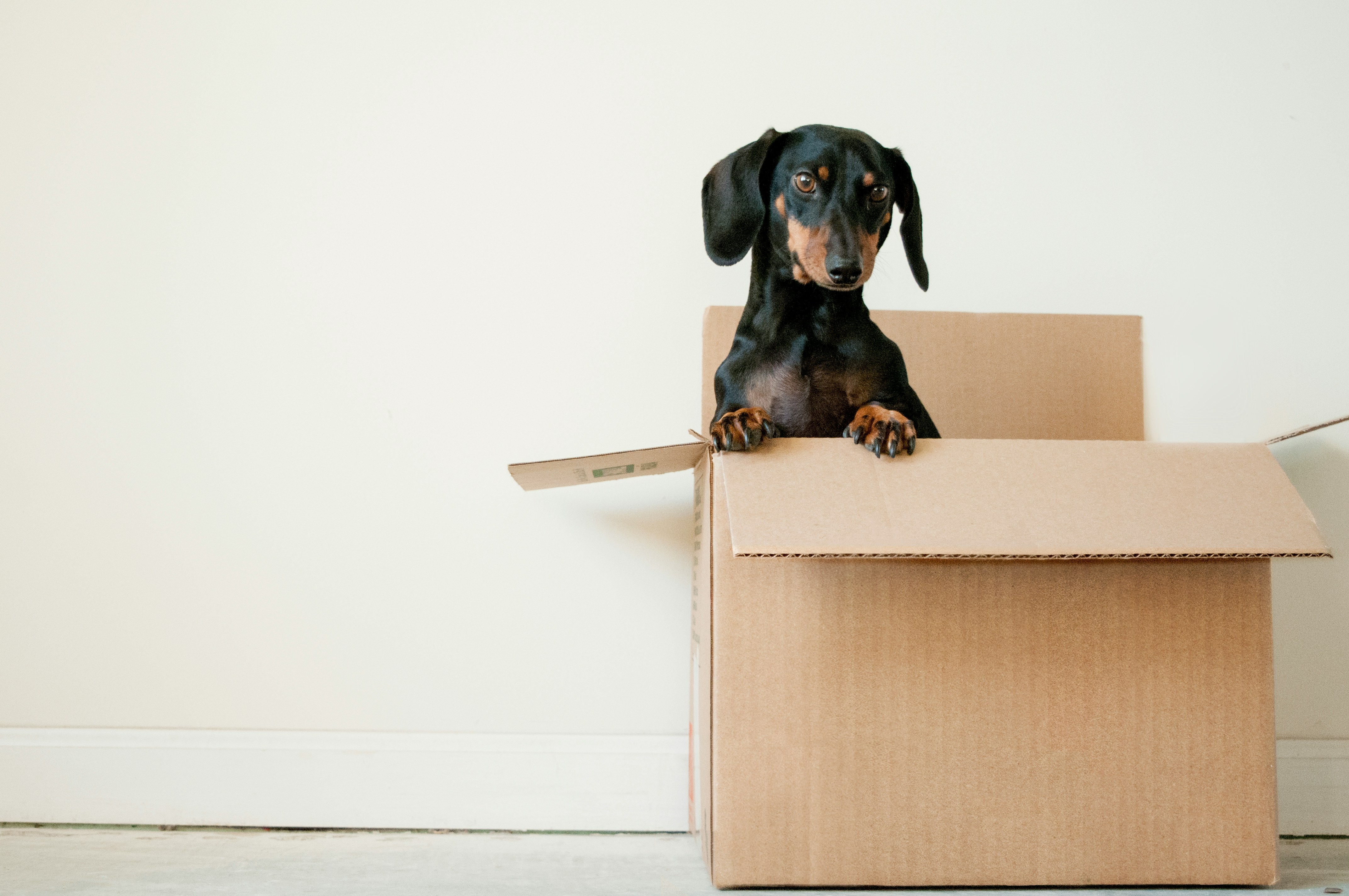 Happy Packing