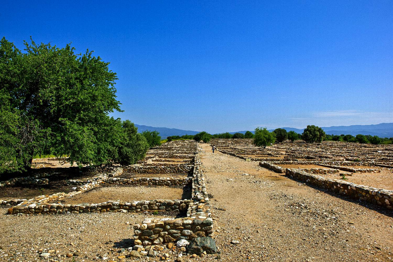 Olynthos Archaeological Site