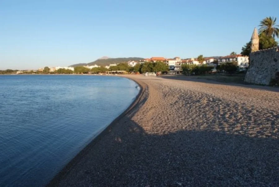 Gribovo