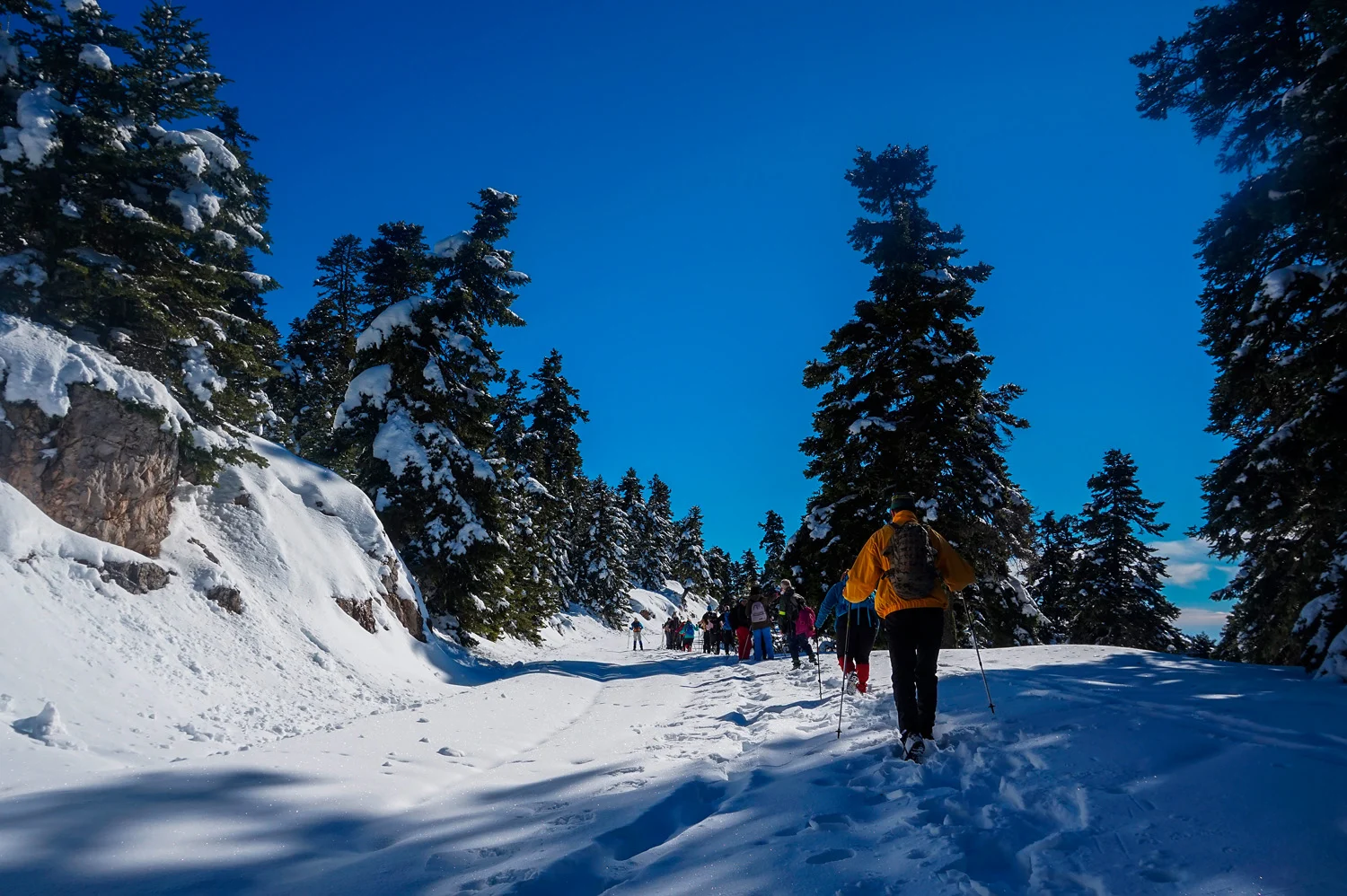 Mount Parnassos in winter