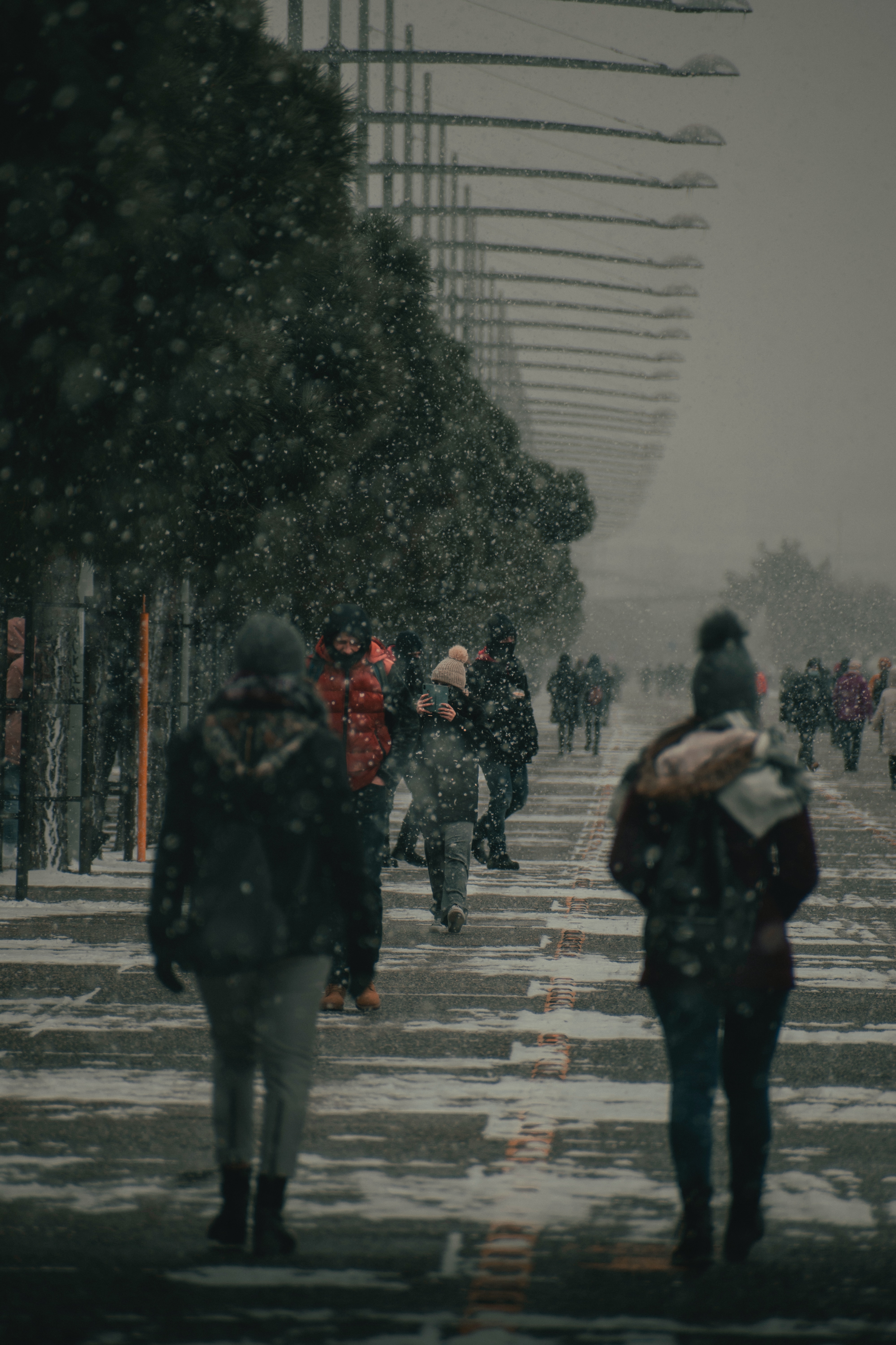 Travel Guide: Thessaloniki Christmas 2023 Unforgettable Extravaganza - Discover The Magic! - Nicolas Tsakos Wlldq3Udtei Unsplash - Greek List